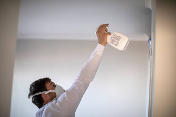 Best Mold Damage Repair  in Arlington, MN