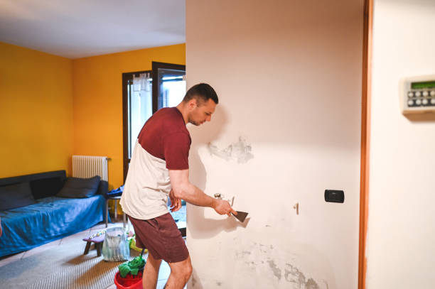 Professional Mold Removal in Arlington, MN